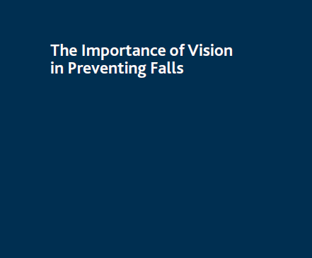 Vision and falls - information for professionals (English)