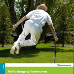 Fall prevention in the Municipality (Norway)
