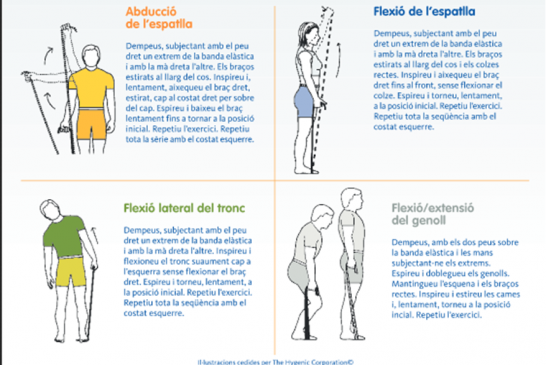 Exercici física i bandes elàstiques (Catalan)