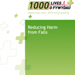 How to Guide: Reducing Harm from Falls (English)