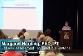 A Video Presentation on Falls Risk Assessment Tools and Interventions for professionals (English)