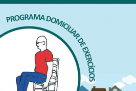 Chair Based Home Exercise Programme for Older People (Portugese South American)