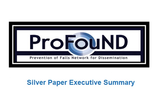 Silver Paper Executive Summary