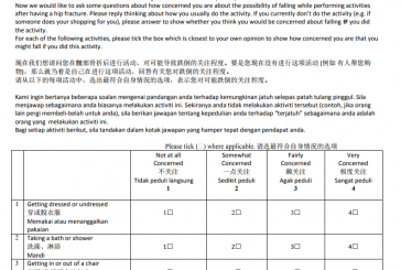 Falls Efficacy Scale-International Malay and Chinese (Mandarin) (FESI)